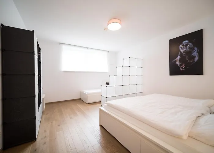 公寓 Townus 威斯巴登