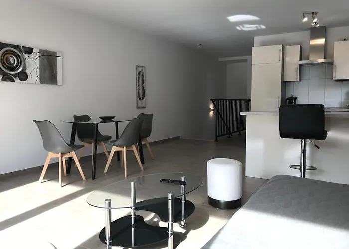 公寓 Townus 威斯巴登